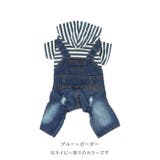 ペットデニムオーバーオール | BACKYARD FAMILY | 詳細画像8