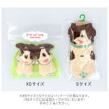 POMPKINS ポップアップソックス | BACKYARD FAMILY | 詳細画像13 