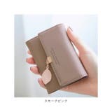 カードケース ccas23 | BACKYARD FAMILY | 詳細画像12 