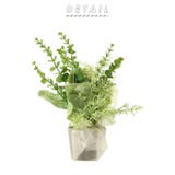 ミックスグリーンポット | BACKYARD FAMILY | 詳細画像2 