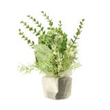 ミックスグリーンポット | BACKYARD FAMILY | 詳細画像3 