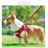 ペット用ハーネスリードセット bl845 | BACKYARD FAMILY | 詳細画像2