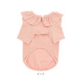 ドッグウェア フリルカラースムースニット dw2020 | BACKYARD FAMILY | 詳細画像17 