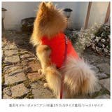 犬用防寒ベスト s1603 | BACKYARD FAMILY | 詳細画像3