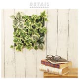 エクリア 消臭アーティフィシャルグリーン | BACKYARD FAMILY | 詳細画像2 