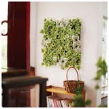 エクリア 消臭アーティフィシャルグリーン | BACKYARD FAMILY | 詳細画像14 