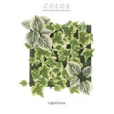 エクリア 消臭アーティフィシャルグリーン | BACKYARD FAMILY | 詳細画像16 