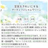 エクリア 消臭アーティフィシャルグリーン | BACKYARD FAMILY | 詳細画像3 