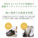 エクリア 消臭アーティフィシャルグリーン | BACKYARD FAMILY | 詳細画像5 