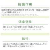 エクリア 消臭アーティフィシャルグリーン | BACKYARD FAMILY | 詳細画像7 