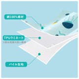 おねしょ ズボン 腹巻付 kidsp08 | BACKYARD FAMILY | 詳細画像9 