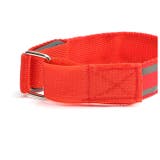 LED ランニングライト 二本 両手用 kled02 | BACKYARD FAMILY | 詳細画像3 