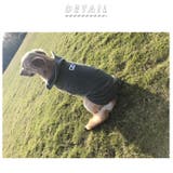 ドッグウェア ポンチョフリースベスト mm004 | BACKYARD FAMILY | 詳細画像2