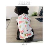 コットン術後服 peta02 | BACKYARD FAMILY | 詳細画像13