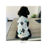 コットン術後服 peta02 | BACKYARD FAMILY | 詳細画像14