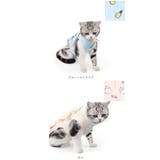 猫 術後服 ya001 | BACKYARD FAMILY | 詳細画像9