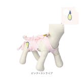 猫 術後服 ya001 | BACKYARD FAMILY | 詳細画像10