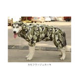 犬用レインコート pk99 | BACKYARD FAMILY | 詳細画像19 