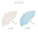 amusant sous la pluie 60cmBJ 耐風 スリム 長傘 | BACKYARD FAMILY | 詳細画像11