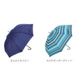 PinkyWolman ピンキーウォルマン 58cm テフロン加工耐風傘 | BACKYARD FAMILY | 詳細画像17 
