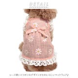 可愛いペットウェア yonlyd | BACKYARD FAMILY | 詳細画像2