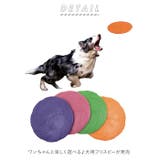 フリスビー 犬 pmy0220 | BACKYARD FAMILY | 詳細画像2 