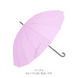 PinkyWolman ピンキーウォルマン 55cm 16本骨長傘 | BACKYARD FAMILY | 詳細画像18