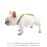 犬用サスペンダー yksusp | BACKYARD FAMILY | 詳細画像5 