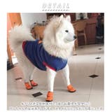 ドッグシューズ x2018 | BACKYARD FAMILY | 詳細画像2 