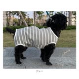 ペット術後服 猫 犬 背中ボタン開き pkpeta01 | BACKYARD FAMILY | 詳細画像14