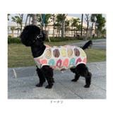 ペット術後服 猫 犬 背中ボタン開き pkpeta01 | BACKYARD FAMILY | 詳細画像15