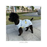 ペット術後服 猫 犬 背中ボタン開き pkpeta01 | BACKYARD FAMILY | 詳細画像16