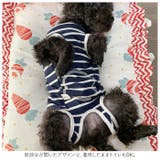 ペット術後服 猫 犬 背中ボタン開き pkpeta01 | BACKYARD FAMILY | 詳細画像5