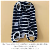 ペット術後服 猫 犬 背中ボタン開き pkpeta01 | BACKYARD FAMILY | 詳細画像8