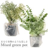 ミックスグリーンポット | BACKYARD FAMILY | 詳細画像1 