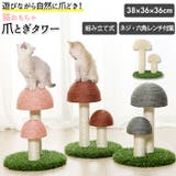 猫おもちゃ xx2033 | BACKYARD FAMILY | 詳細画像1 