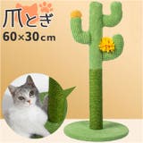 猫 爪とぎ pkxx21066 | BACKYARD FAMILY | 詳細画像1