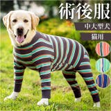 術後服 pmybigwear03 | BACKYARD FAMILY | 詳細画像1 