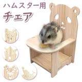 ハムスター用 チェア 木製 pmychairw01 | BACKYARD FAMILY | 詳細画像1 