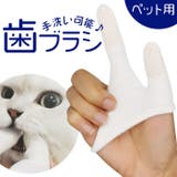 ペット歯ブラシ kgoods32 | BACKYARD FAMILY | 詳細画像1