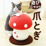 猫 爪とぎ pkcat0614 | BACKYARD FAMILY | 詳細画像1