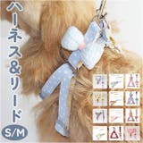 ハーネス pmyhnes01 | BACKYARD FAMILY | 詳細画像1 