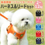犬 ハーネス pkbl885 | BACKYARD FAMILY | 詳細画像1 