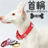 首輪 kpet10 | BACKYARD FAMILY | 詳細画像1