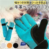 ペット グローブ 45cm spetglove45 | BACKYARD FAMILY | 詳細画像1