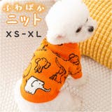 ペットウェア ニット 秋冬 yk2104c | BACKYARD FAMILY | 詳細画像1