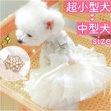 ペットウェア ウェディングドレス kpetwd07 | BACKYARD FAMILY | 詳細画像1 