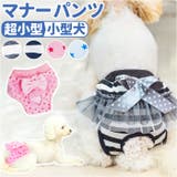 ペット 犬 マナーパンツ サニタリーパンツ リボン gpet6037 | BACKYARD FAMILY | 詳細画像1