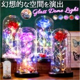 ガラスドーム 飾り おしゃれ LED付き | BACKYARD FAMILY | 詳細画像1 