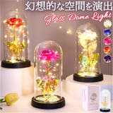 ガラスドーム 飾り おしゃれ LED付き | BACKYARD FAMILY | 詳細画像1 